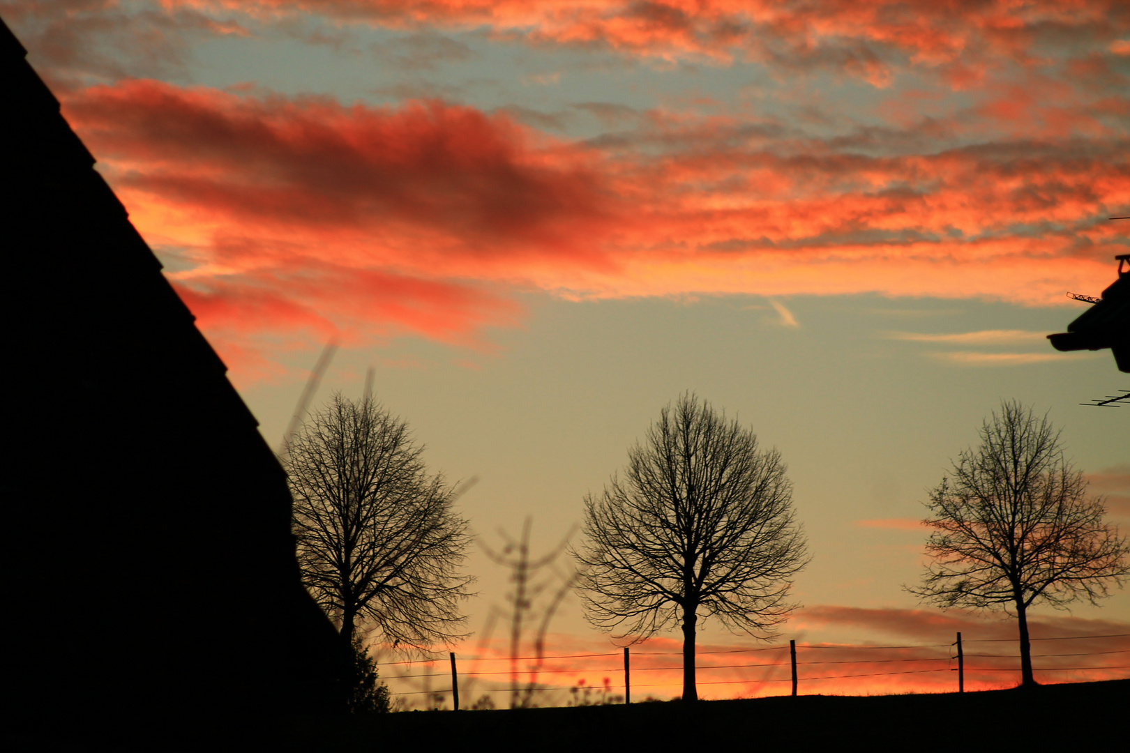 Blick in den Dezember