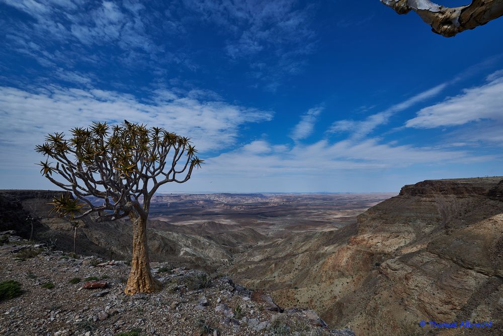 Blick in den Fish River Canyon