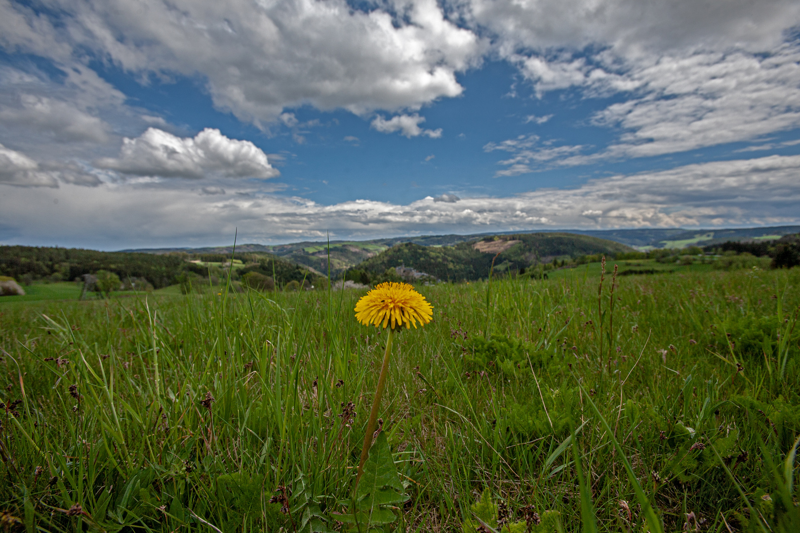  Blick in den Frankenwald