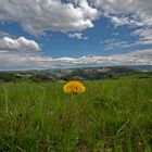  Blick in den Frankenwald