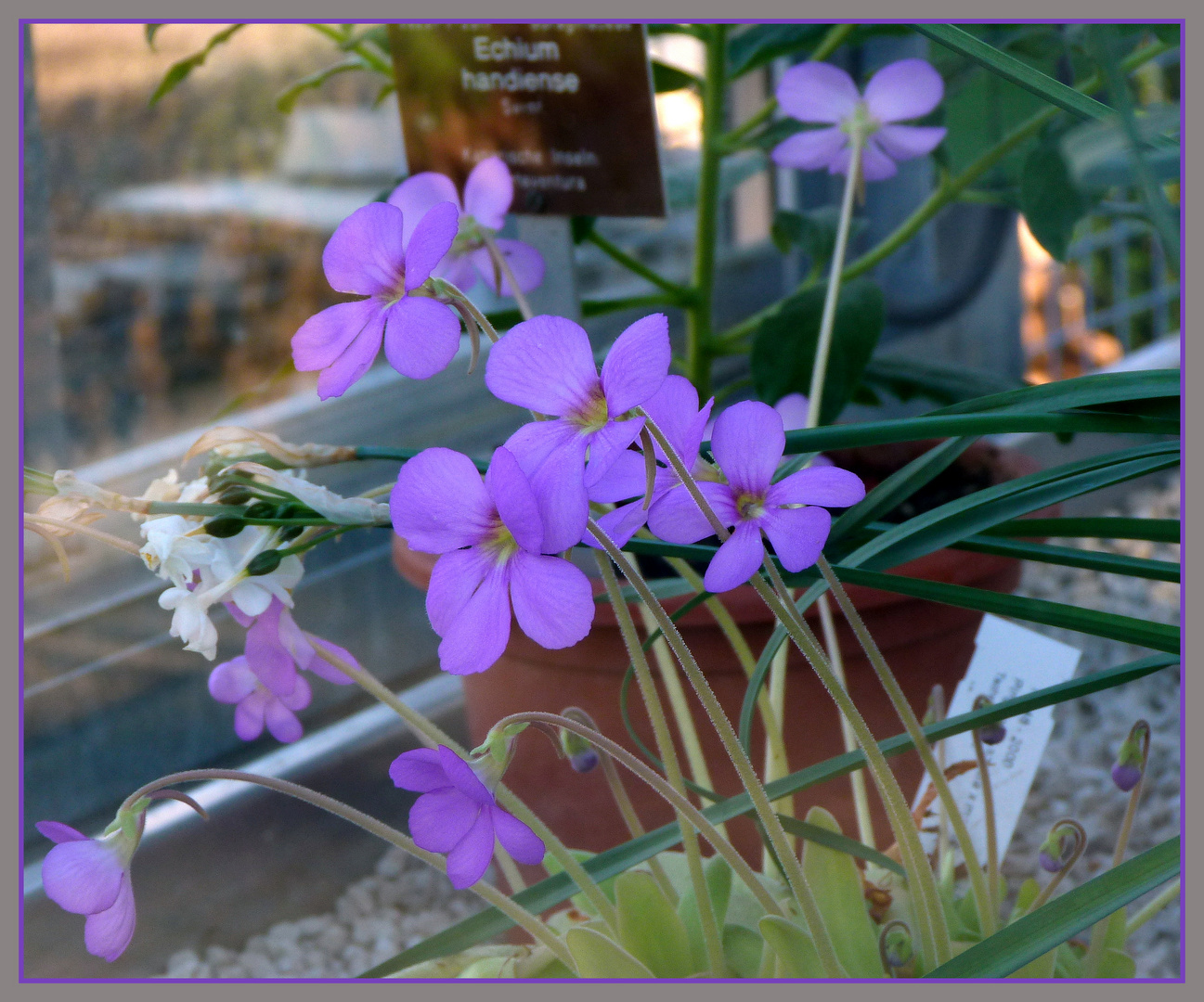 Blick in den Frühling