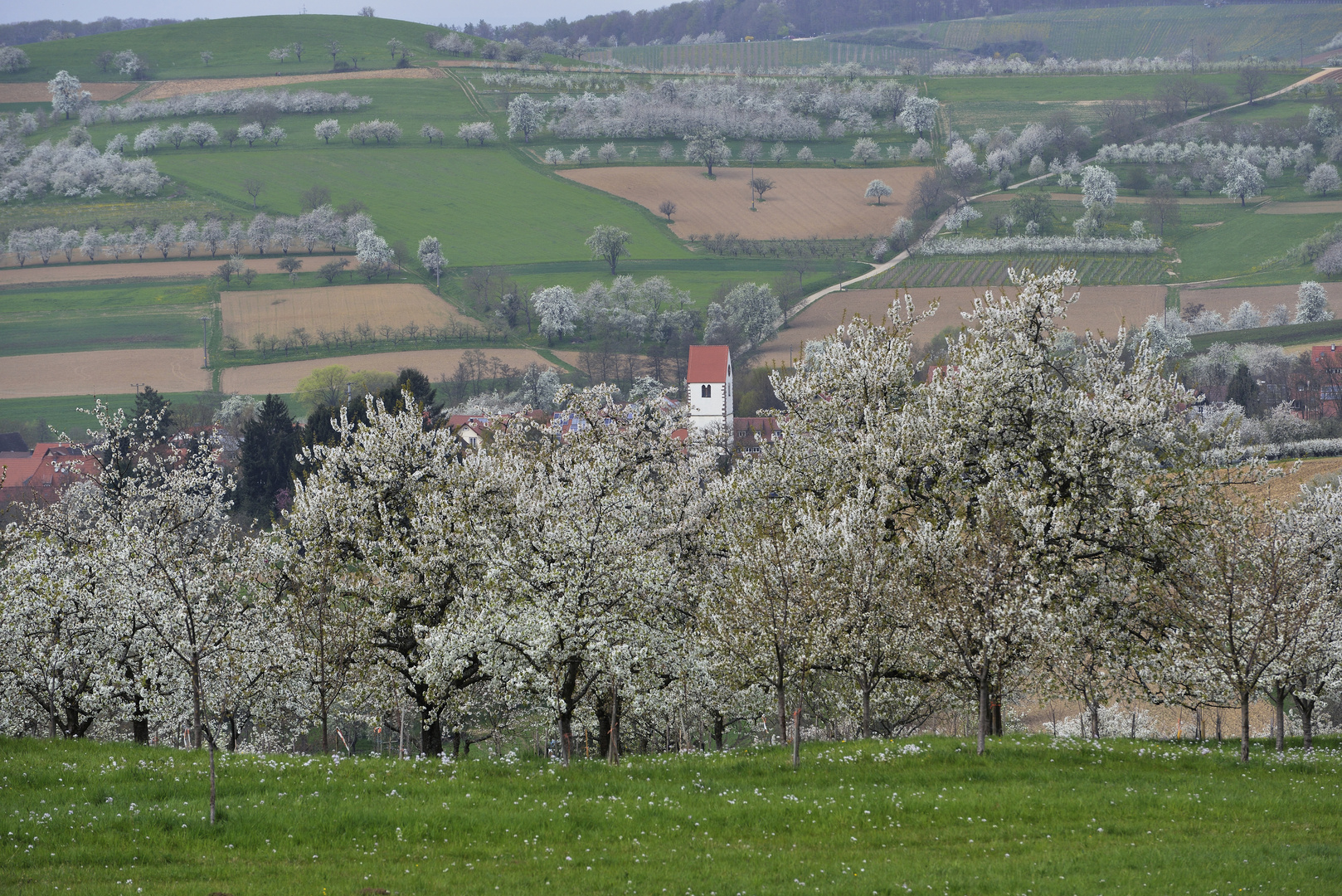 Blick in den Frühling