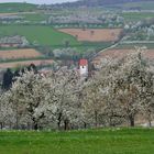 Blick in den Frühling