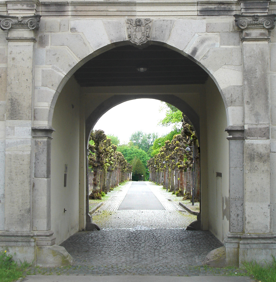 Blick in den Frühling