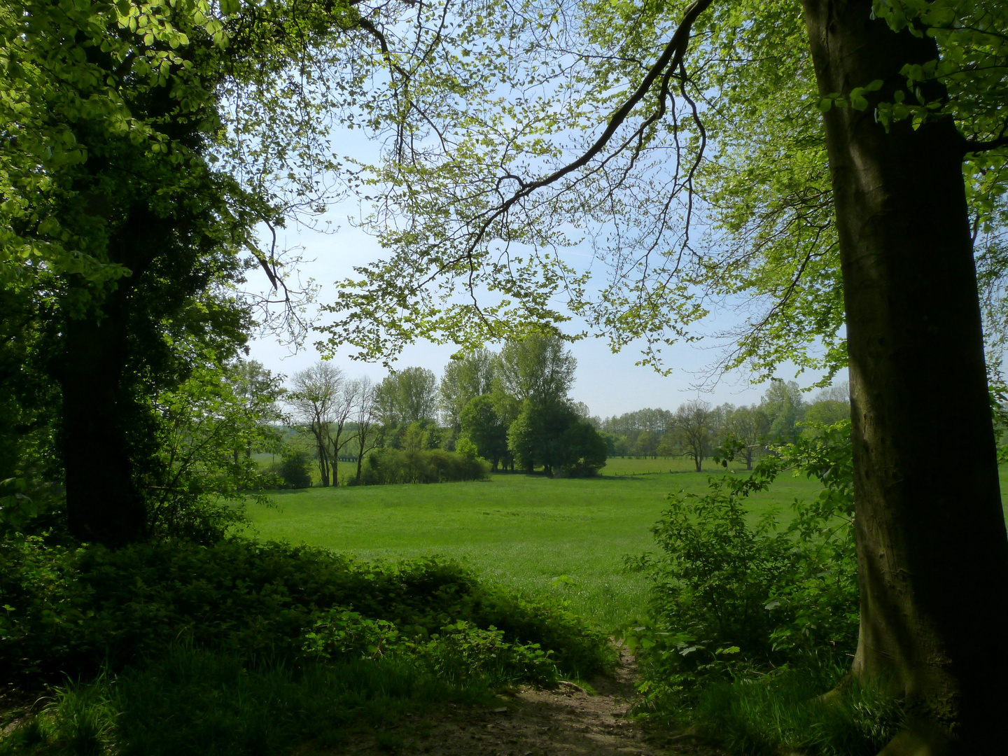 Blick in den Frühling