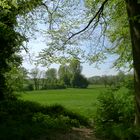 Blick in den Frühling