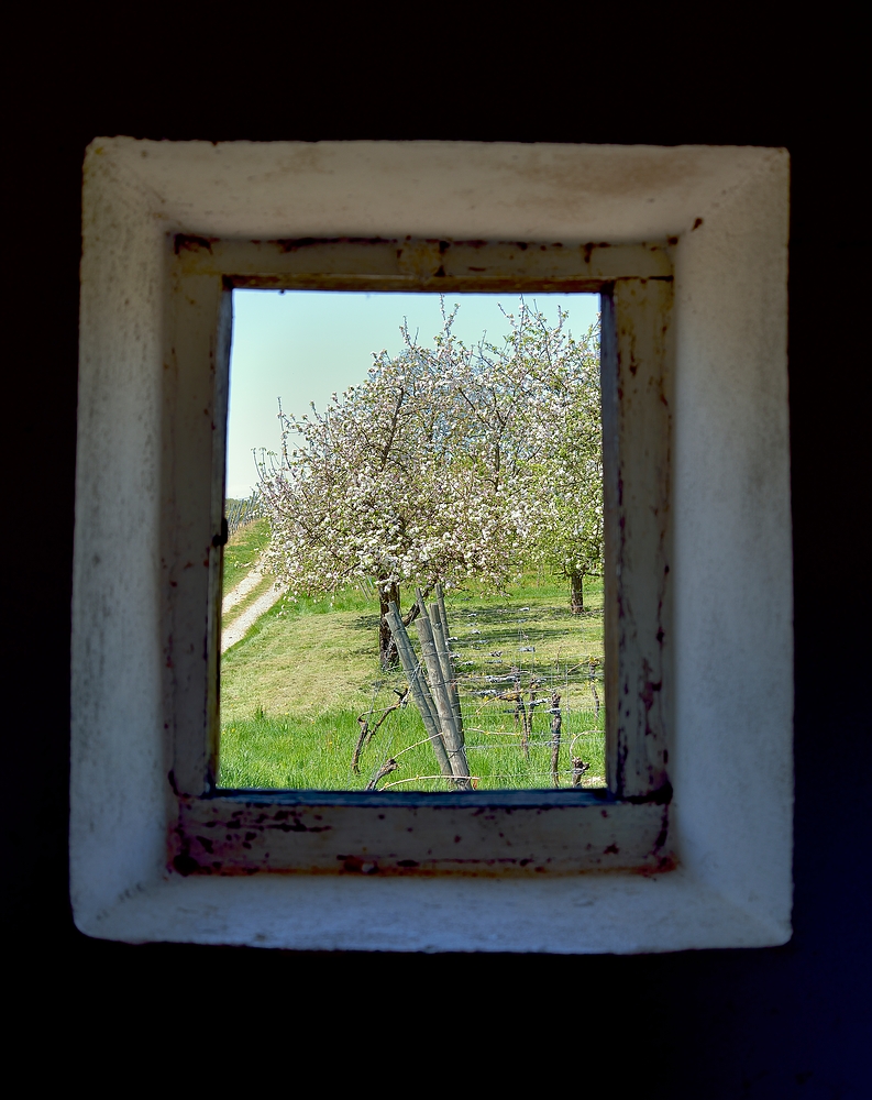 Blick in den Frühling