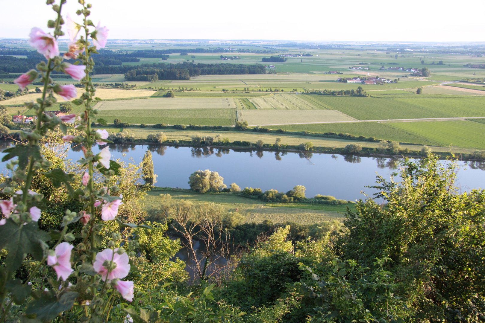 Blick in den Gäuboden