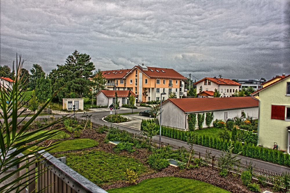 Blick in den Garten