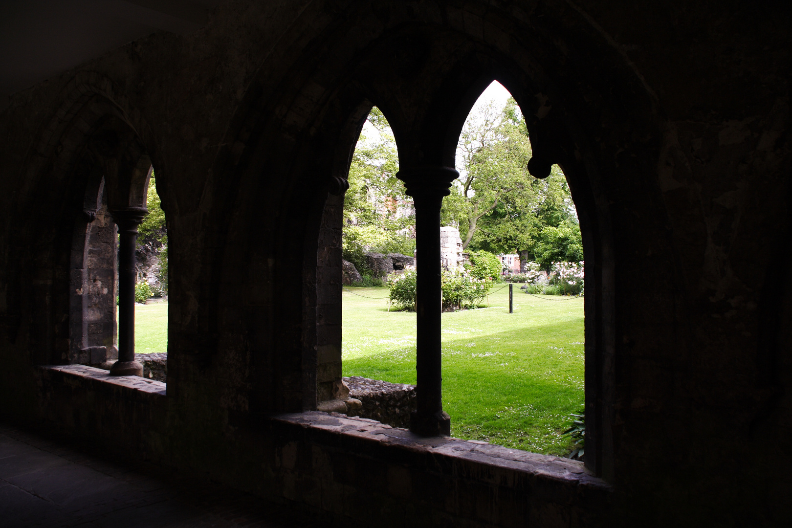 Blick in den Garten