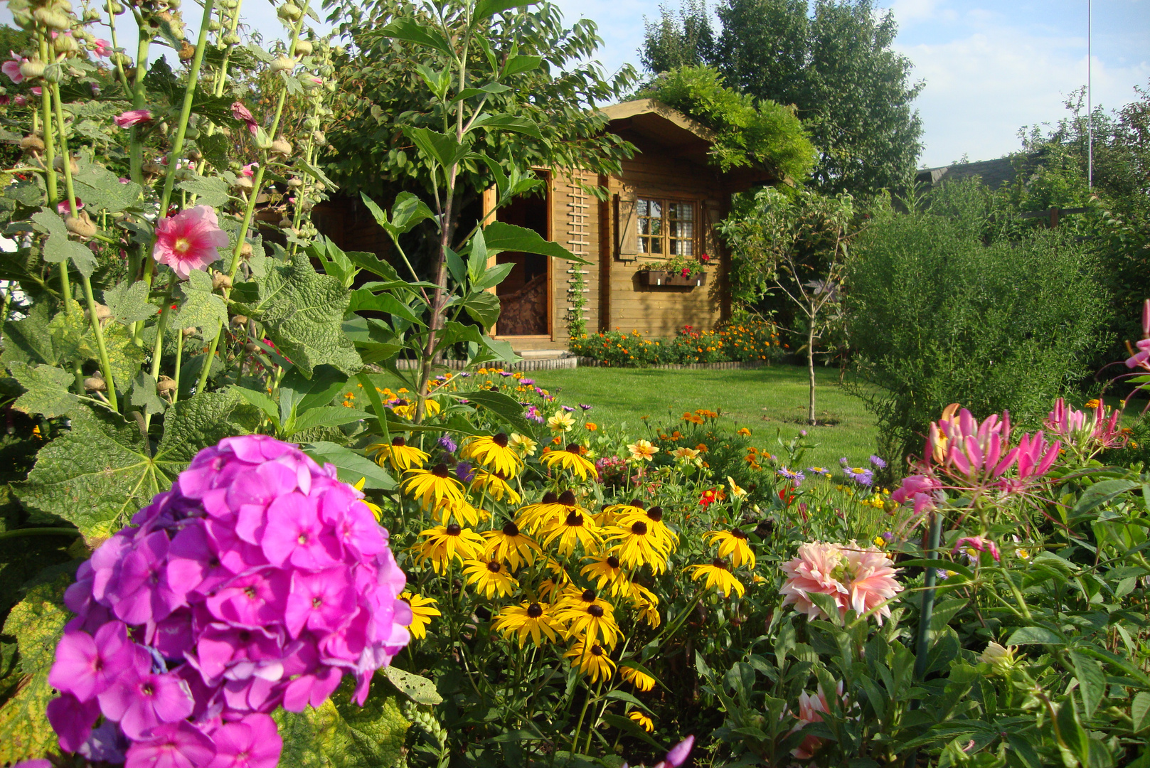 Blick in den Garten