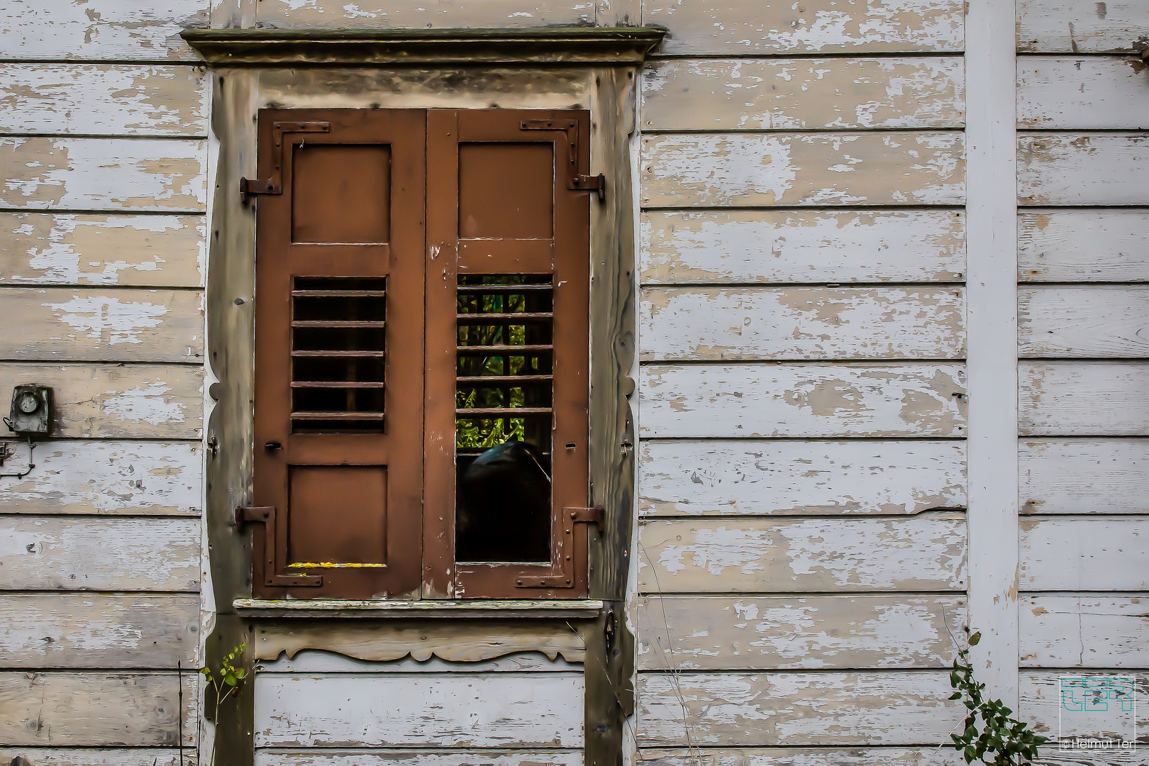 "Blick in den Garten"