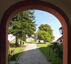 Blick in den Garten