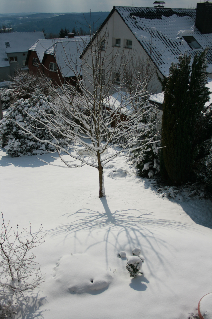 Blick in den Garten