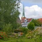 Blick in den Garten.