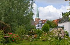 Blick in den Garten.