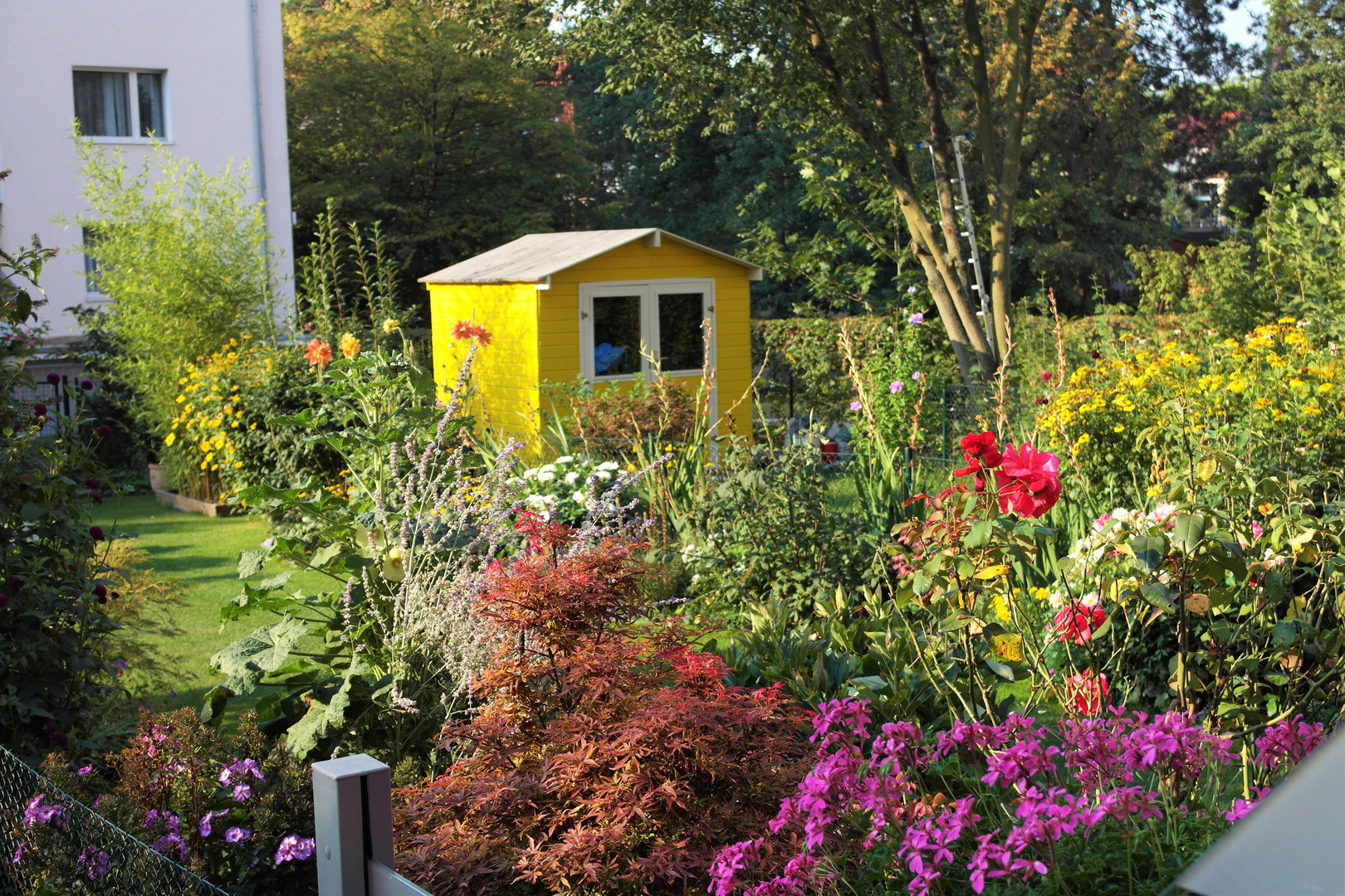 Blick in den Garten der Nachbarn