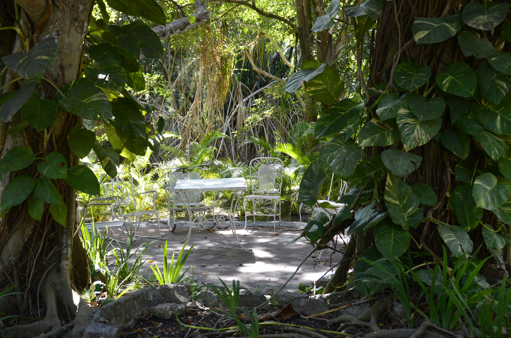 Blick in den Garten von Ernest  Hemingway in Kuba 