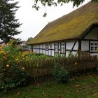 Blick in den Garten von Haus Peter