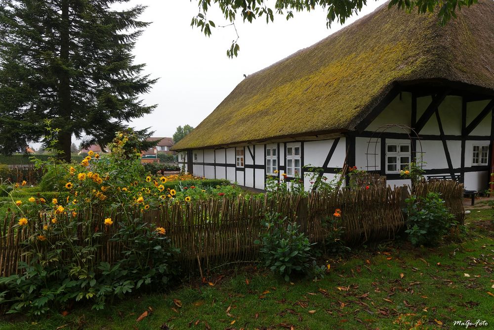 Blick in den Garten von Haus Peter