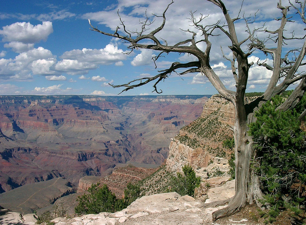 Blick in den Grand Canyon...