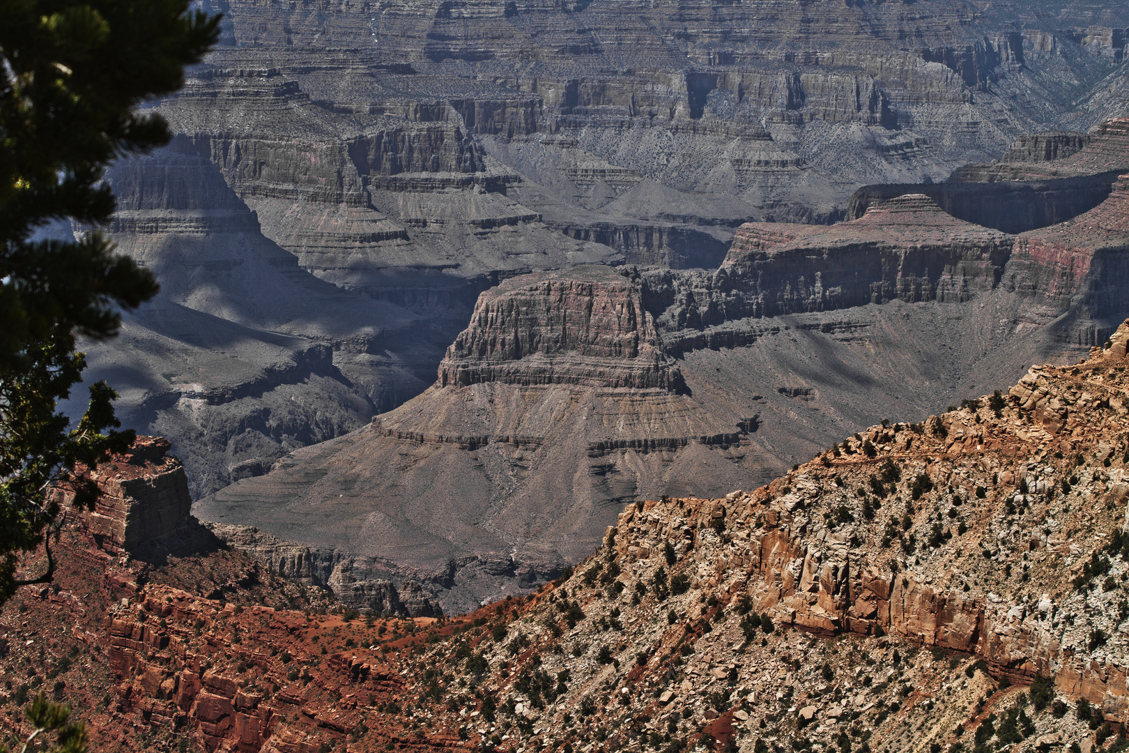 Blick in den Grand Canyon