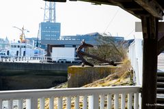 Blick in den Hafen