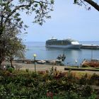 Blick in den Hafen von Funchal