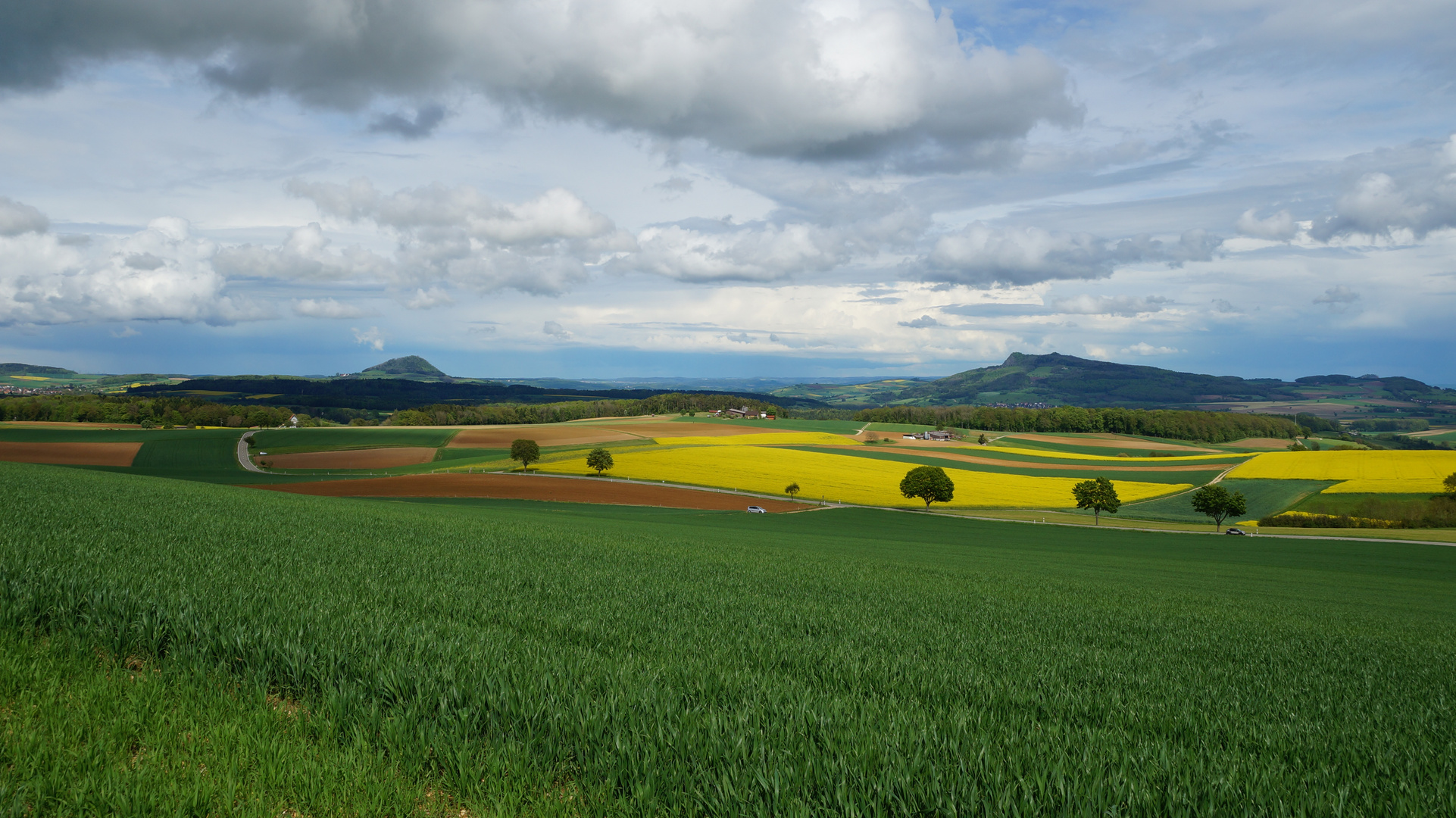 Blick in den Hegau