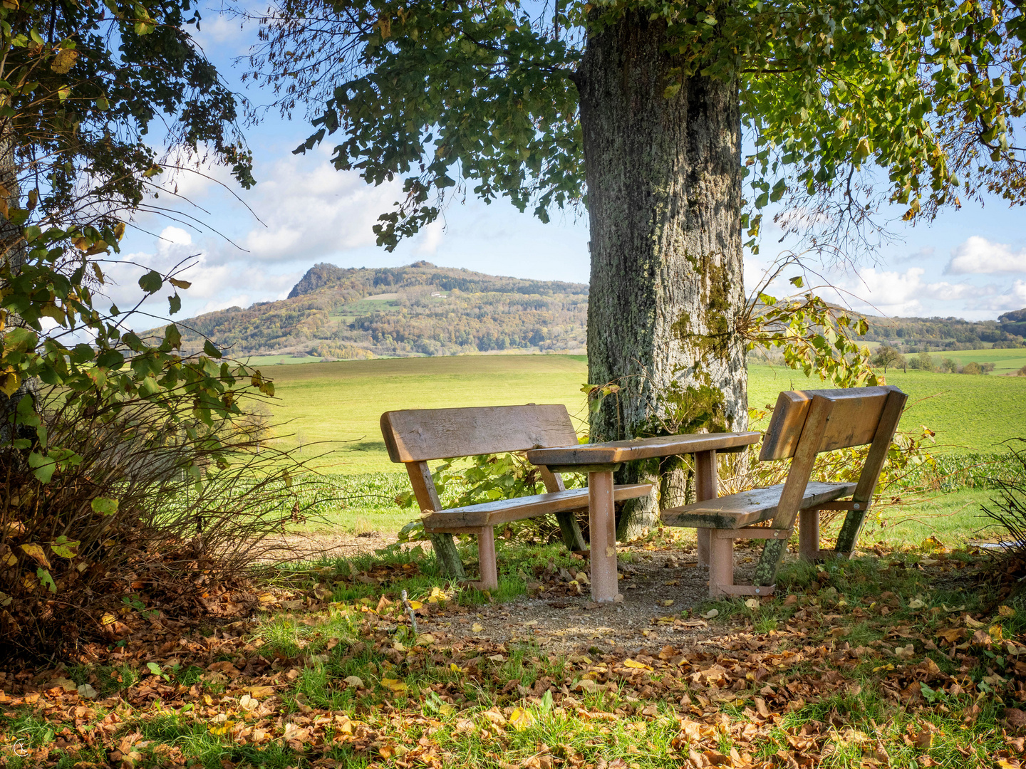 Blick in den Hegau