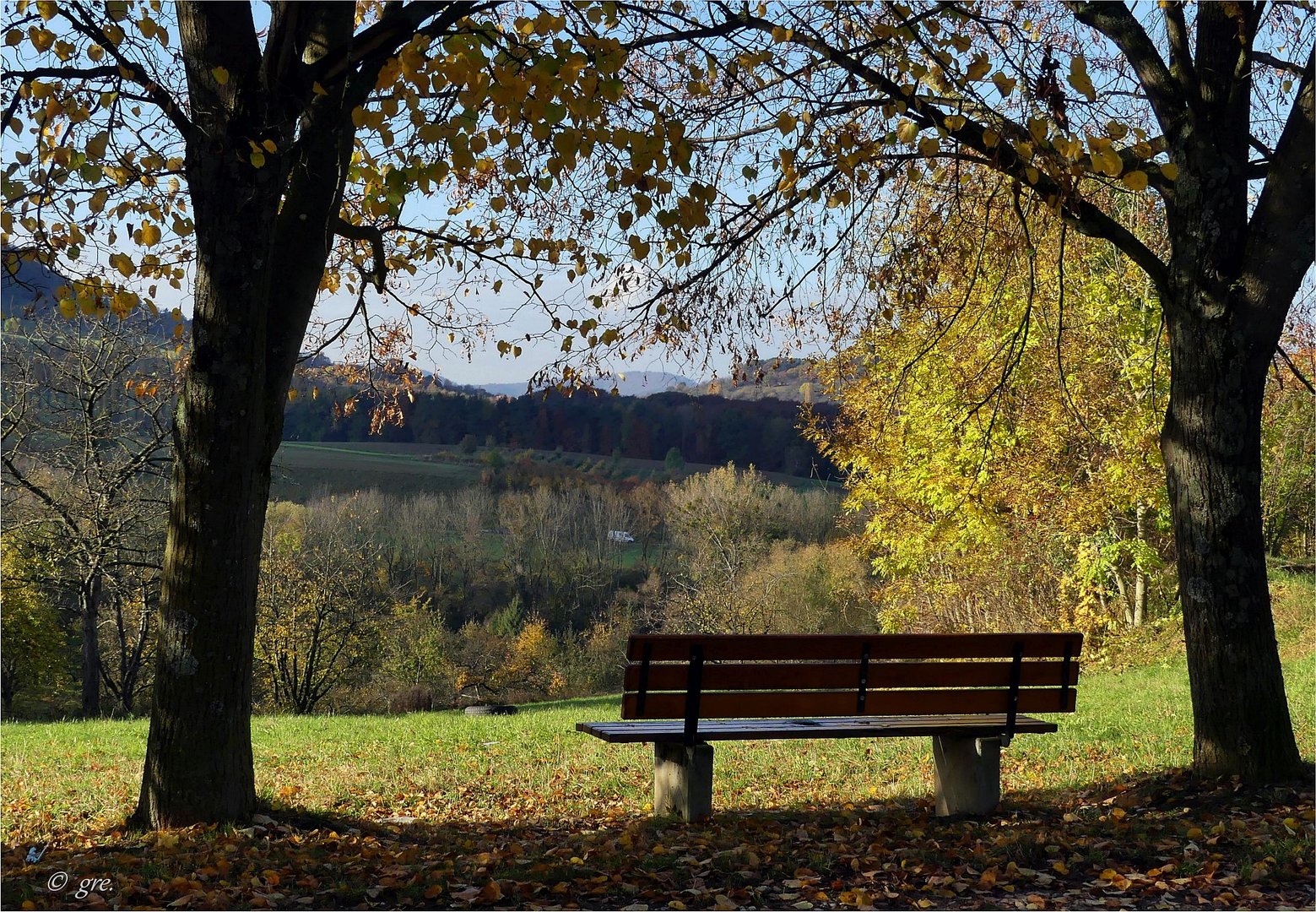 Blick in den Herbst......