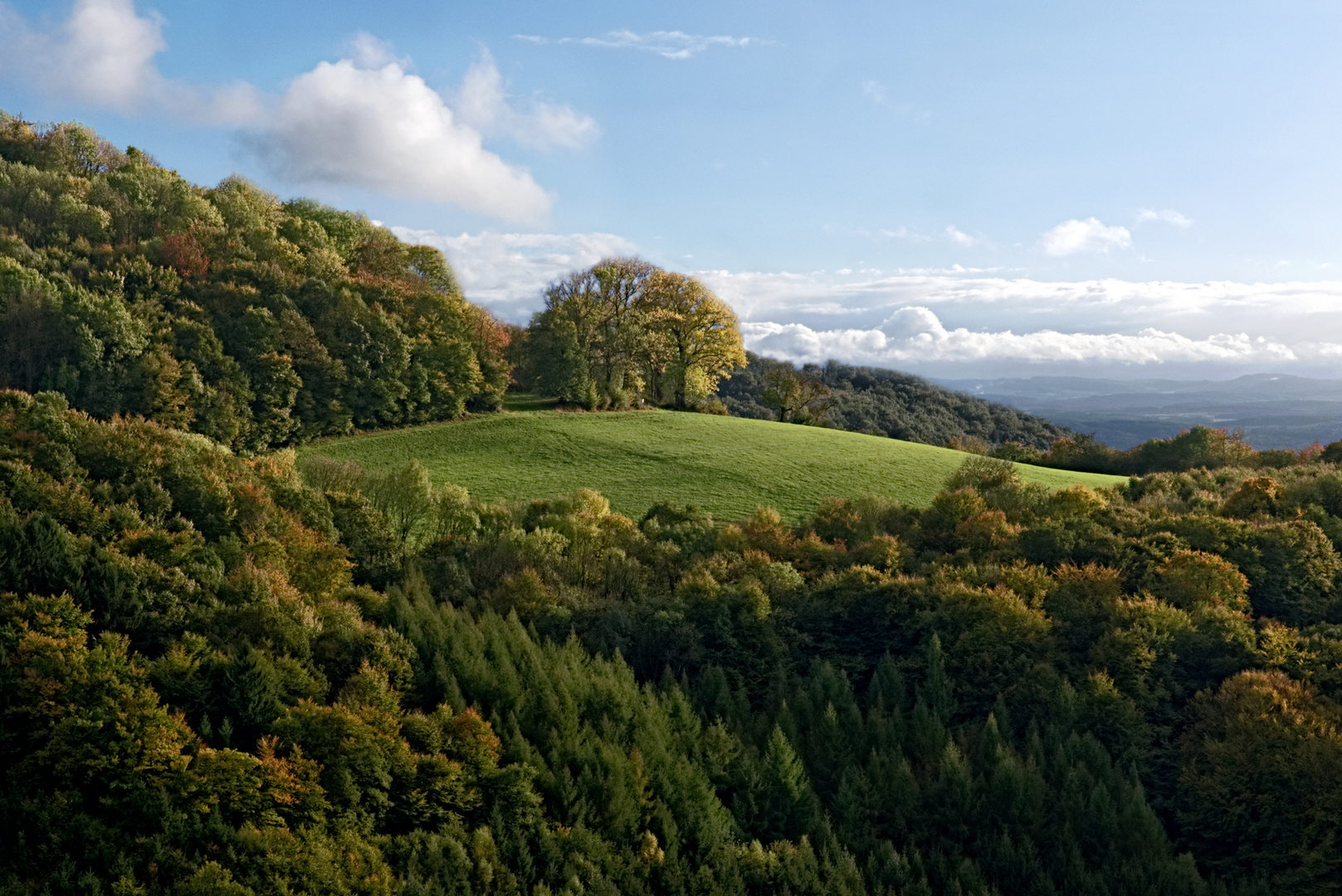 Blick in den Herbst