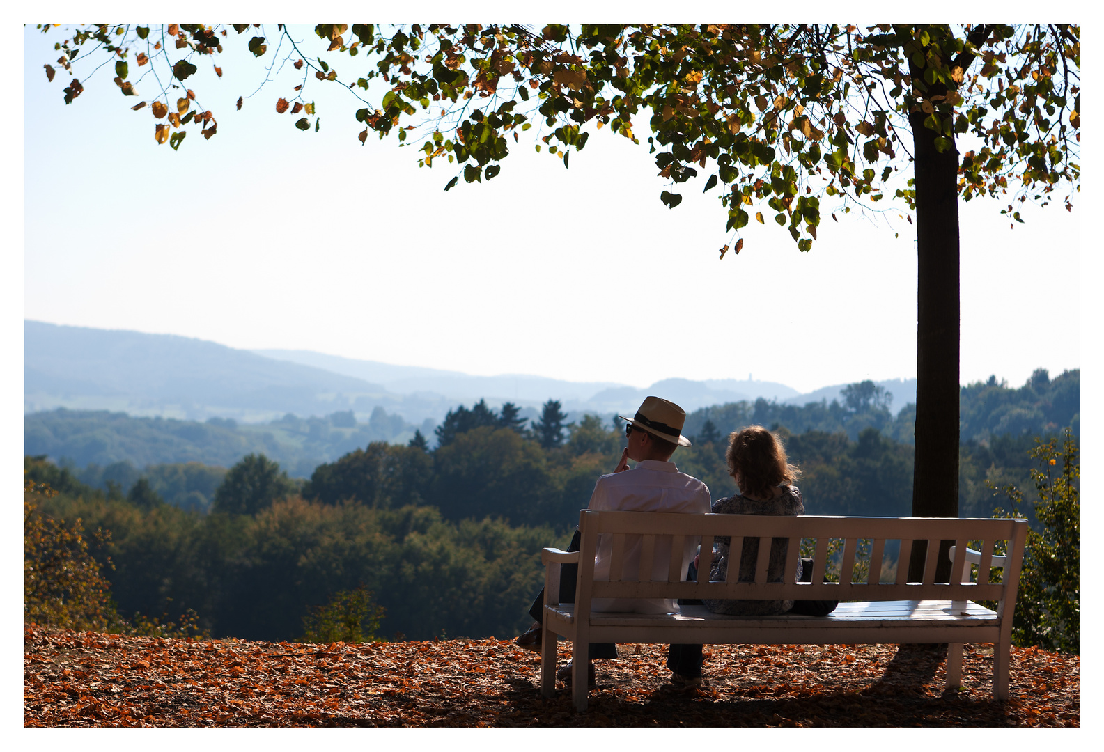 Blick in den Herbst