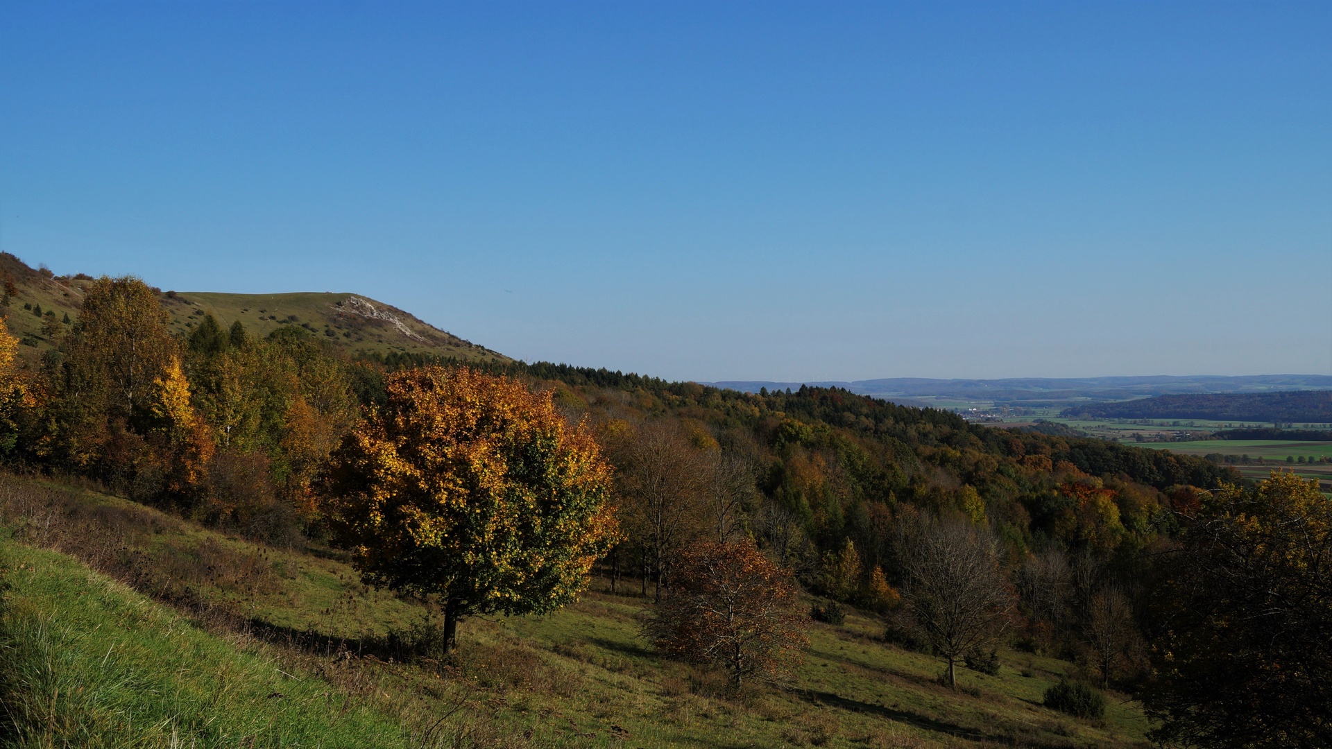 Blick in den Herbst ...