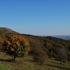 Blick in den Herbst ...