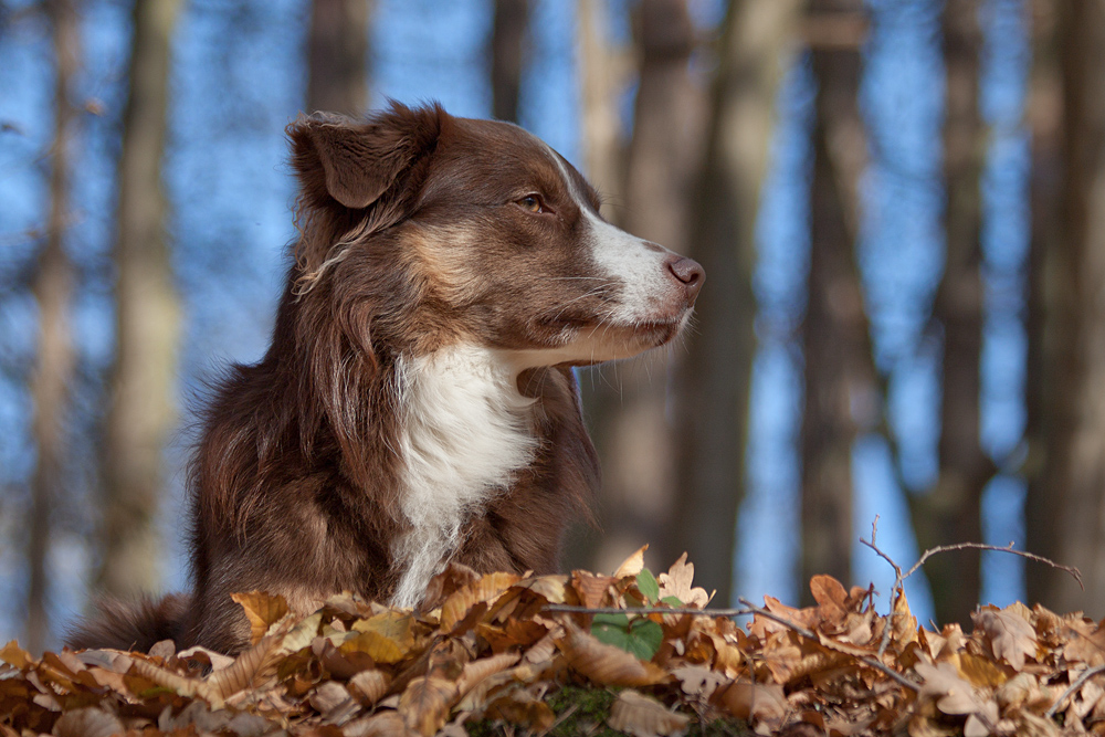 Blick in den Herbst