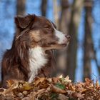 Blick in den Herbst