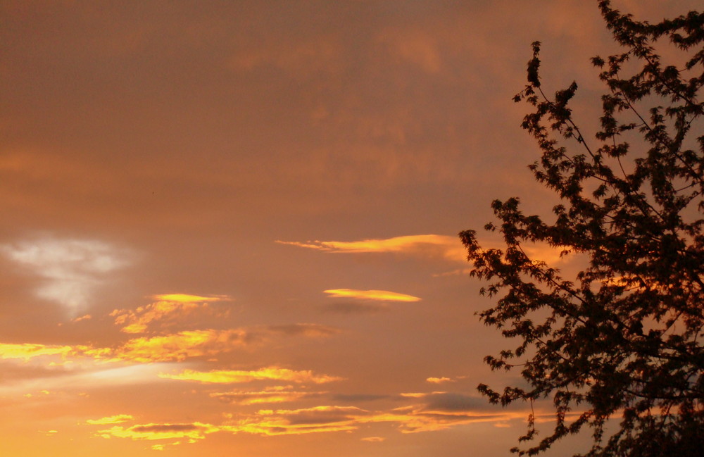 Blick in den heutigen Sonnenuntergang