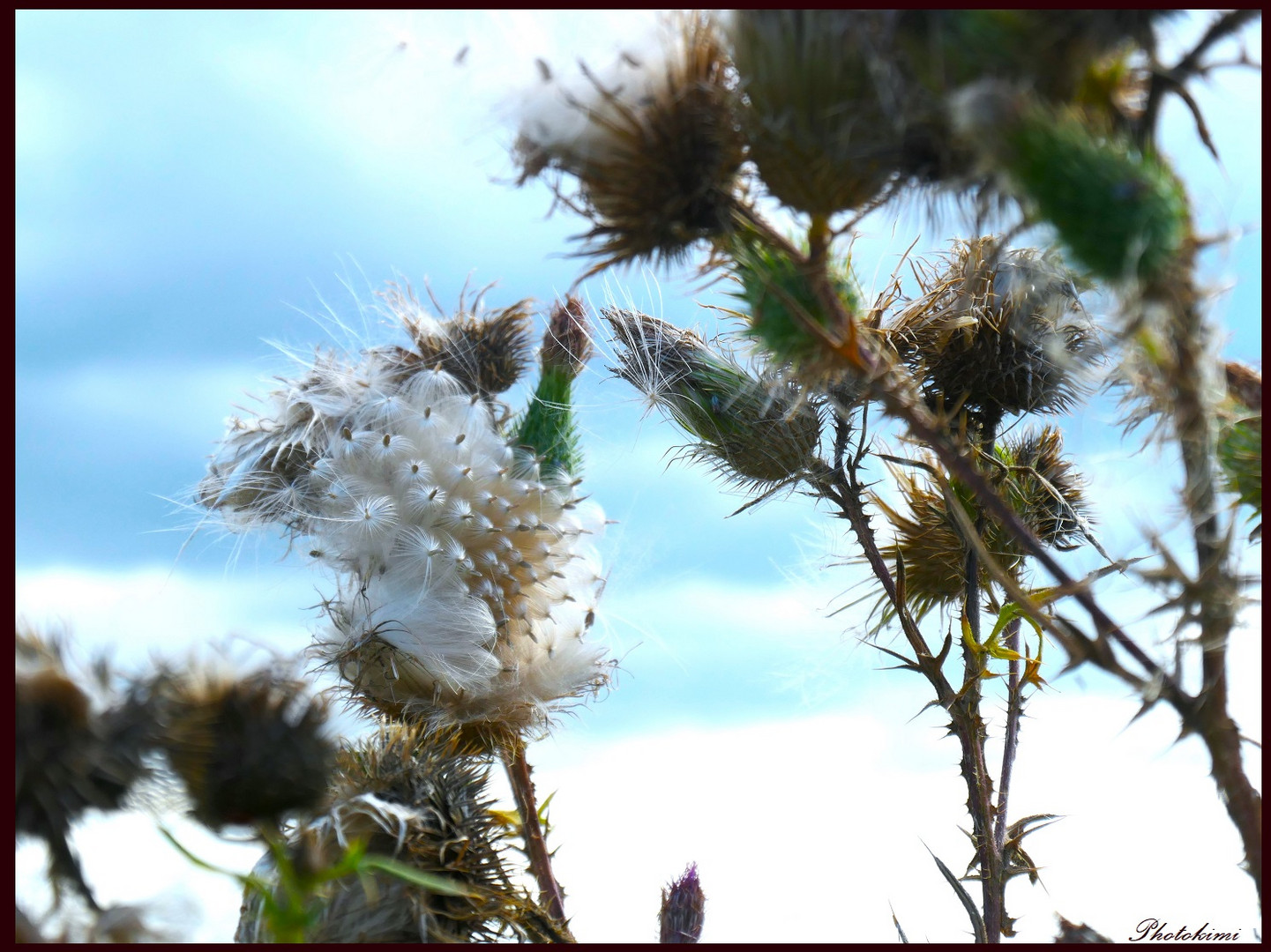 Blick in den Himmel