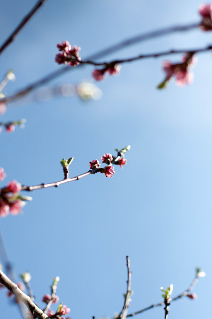 Blick in den Himmel