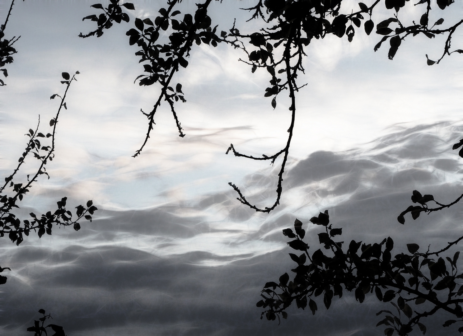 ... blick in den himmel