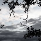 ... blick in den himmel