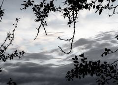 ... blick in den himmel