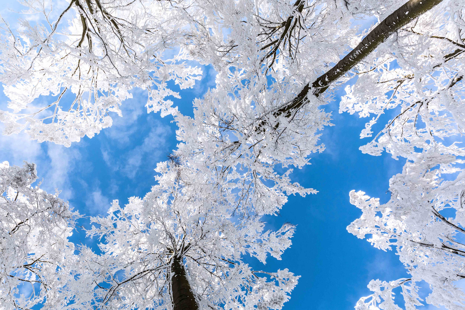 Blick in den Himmel