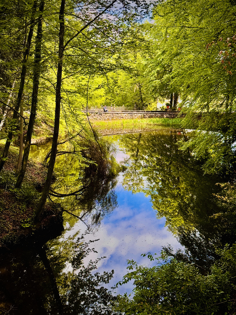 Blick in den Himmel