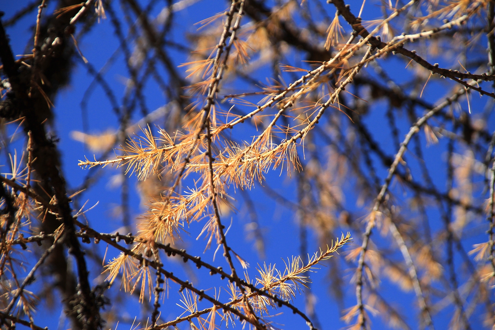 Blick in den Himmel ...