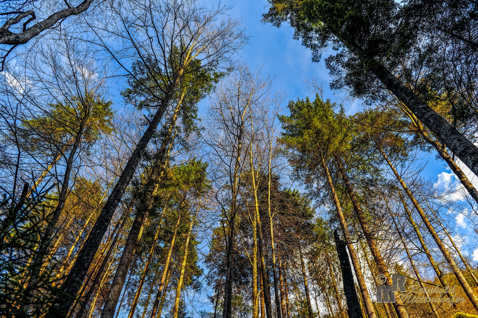 Blick in den Himmel