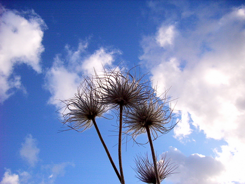 Blick in den Himmel...