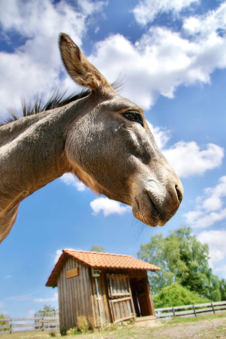 Blick in den Himmel?