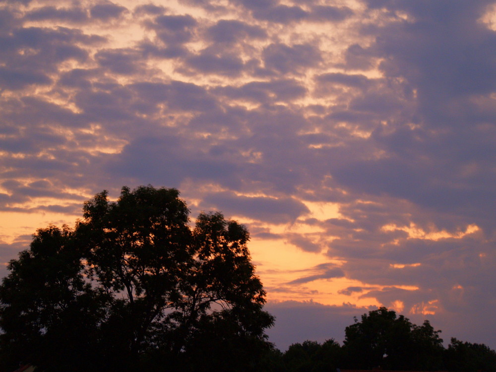 blick in den himmel